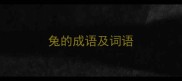 兔的成语及词语