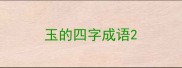 玉的四字成语