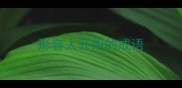 形容人开朗的成语