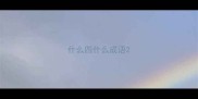 什么四什么成语