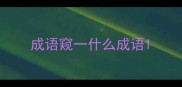 成语窥一什么成语