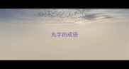 丸字的成语