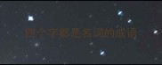 四个字都是名词的成语