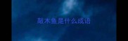 敲木鱼是什么成语