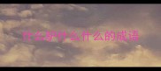 什么驴什么什么的成语