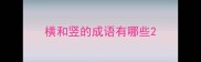 横和竖的成语有哪些