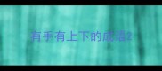 有手有上下的成语