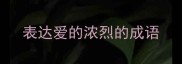 表达爱的浓烈的成语