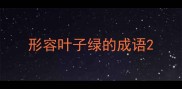 形容叶子绿的成语