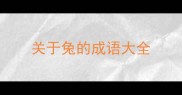 关于兔的成语大全