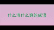 什么清什么爽的成语