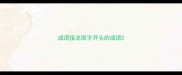 成语接龙国字开头的成语