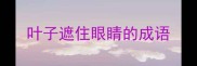 叶子遮住眼睛的成语