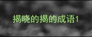 揭晓的揭的成语