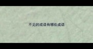不见的成语有哪些成语