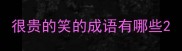 很贵的笑的成语有哪些