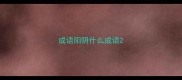 成语阳阴什么成语