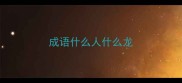 成语什么人什么龙