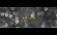 誉开头成语