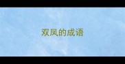双凤的成语