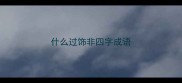 什么过饰非四字成语