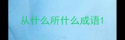 从什么所什么成语