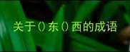 关于东西的成语