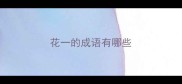 花一的成语有哪些