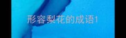 形容梨花的成语