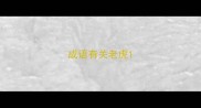 成语有关老虎