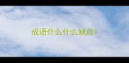 成语什么什么缺点