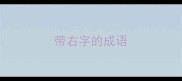 带右字的成语