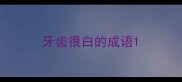 牙齿很白的成语
