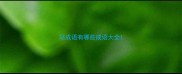 站成语有哪些成语大全