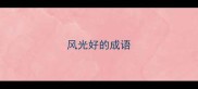风光好的成语