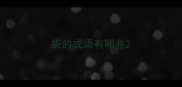 袋的成语有哪些