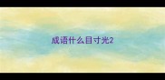 成语什么目寸光