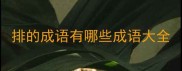 排的成语有哪些成语大全
