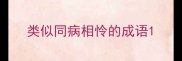 类似同病相怜的成语