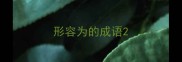 形容为的成语