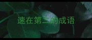速在第二的成语