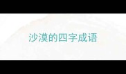 沙漠的四字成语