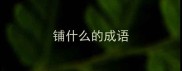铺什么的成语