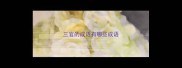 三官的成语有哪些成语