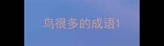 鸟很多的成语
