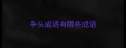 争头成语有哪些成语