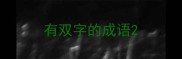 有双字的成语