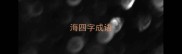 海四字成语