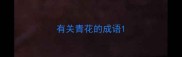 有关青花的成语