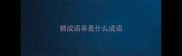猜成语乖是什么成语